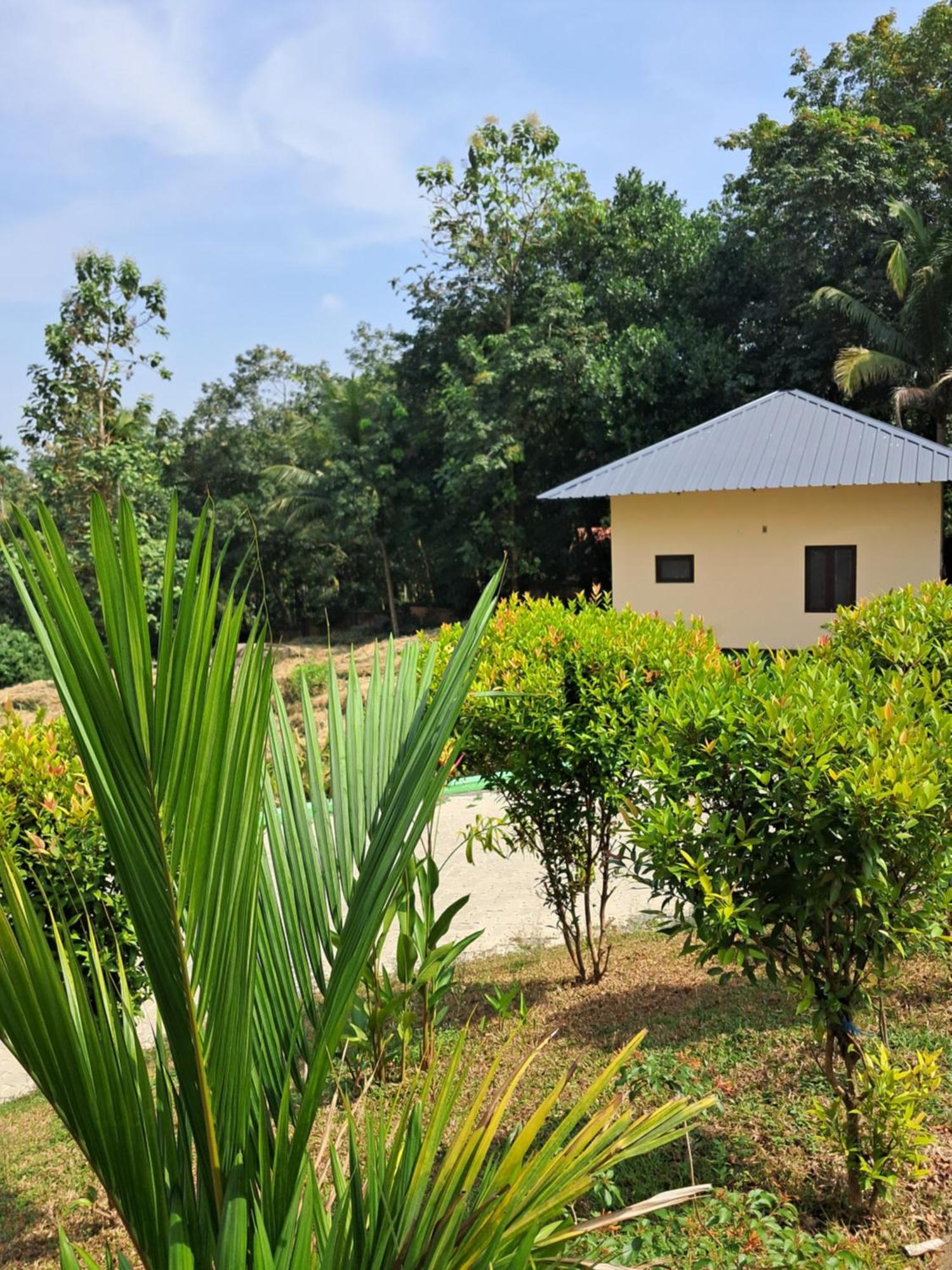 Shamrock Inn Kochi Exterior photo